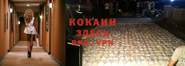 PSILOCYBIN Аркадак